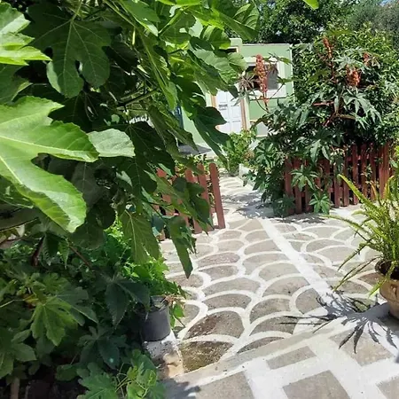 Casa vacanze Gruene Haus Afión